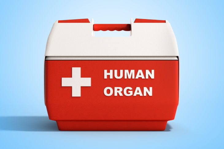 Human Organ Chilling Box