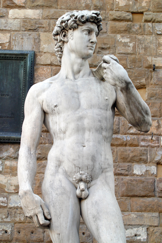 Michelangelo's David full sculpture