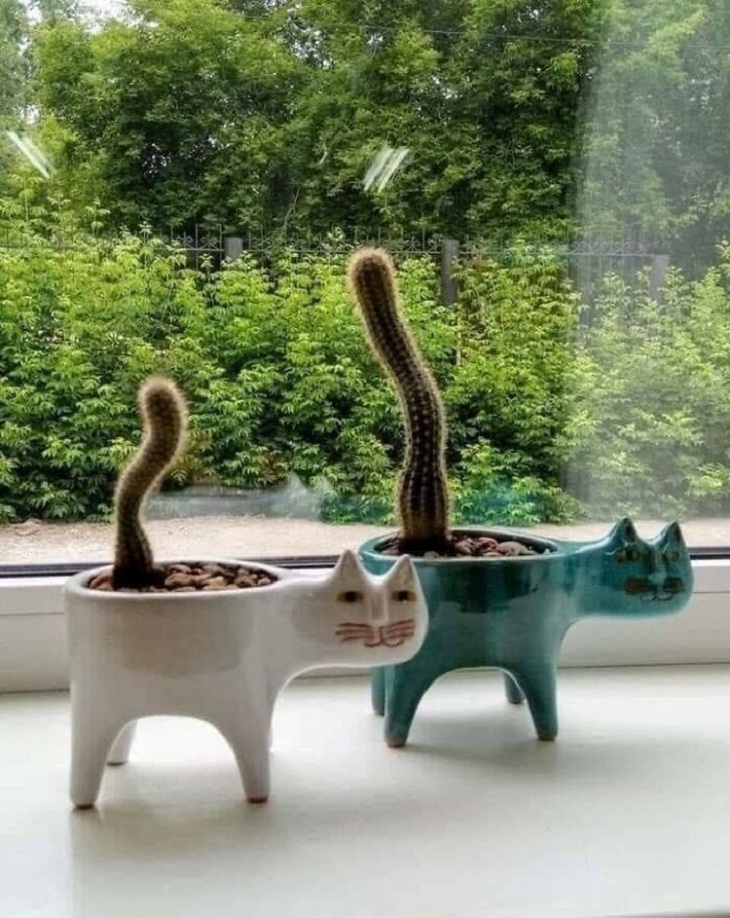 Plant-Pot Pairing, cats