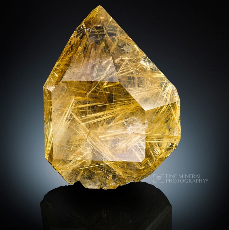 Transparent floater Quartz crystal with golden Rutile inclusions from Novo Horizonte, Bahia, Brazil.