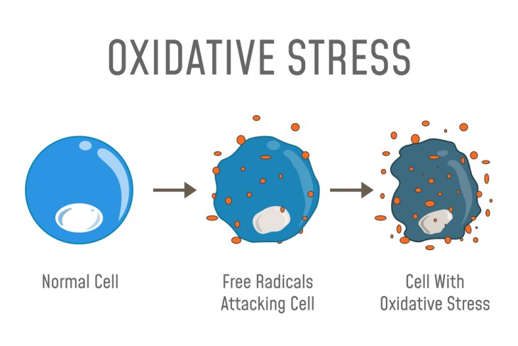 oxidative process
