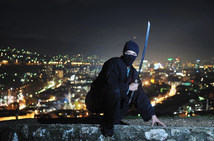modern ninja