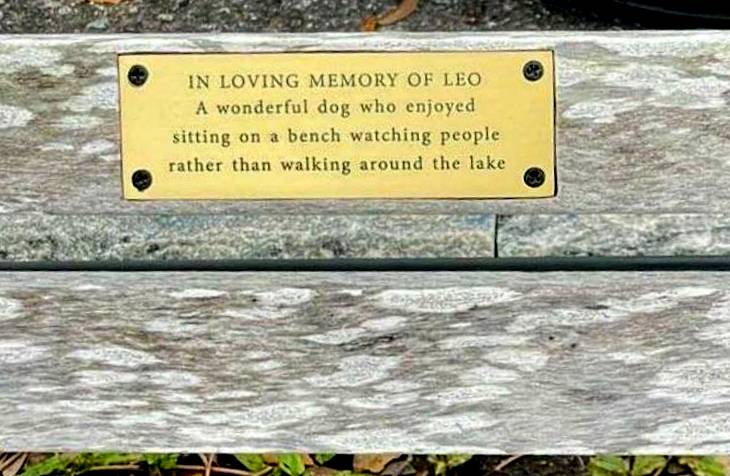 Funny & Heartwarming Bench Plaques 