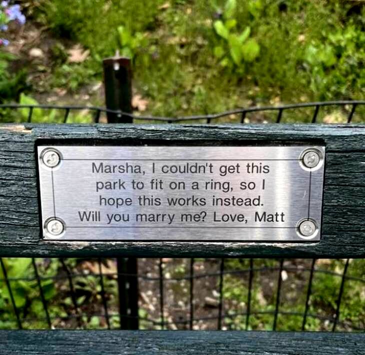 Funny & Heartwarming Bench Plaques 