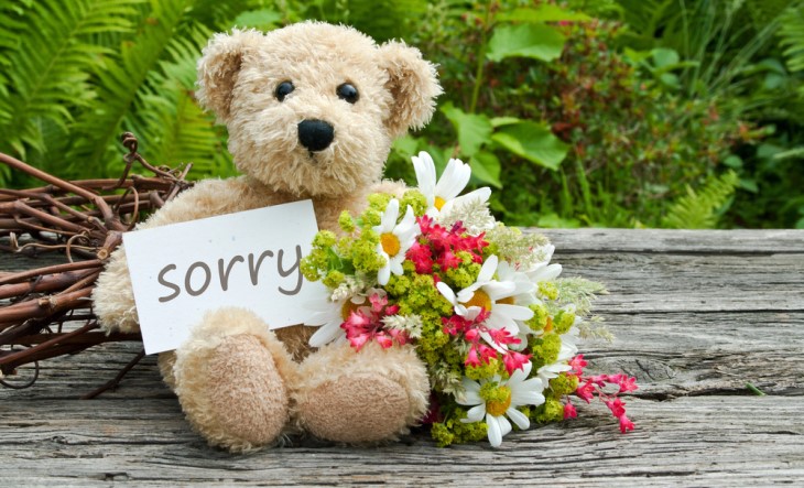 How to Break a Cycle of Negative Thoughts: Teddy bear holding a sign that says 'Sorry'