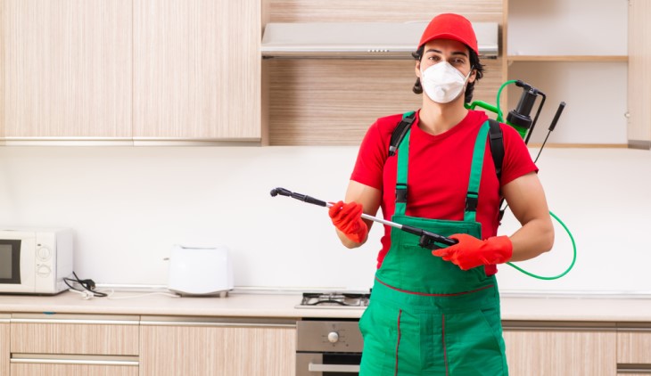 pest control