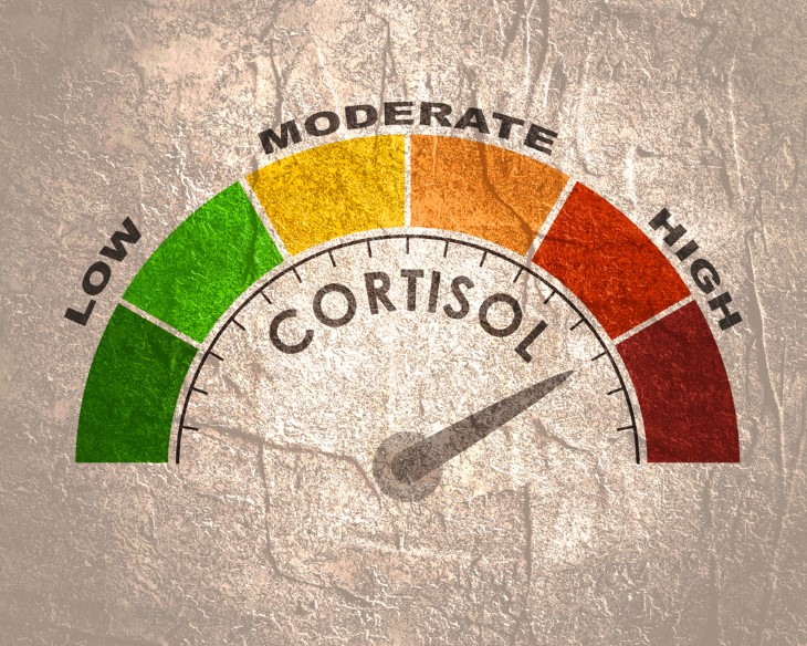 high cortisol