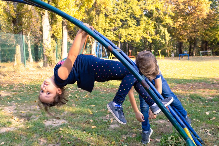 jungle gym