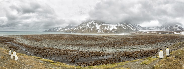 antarctica