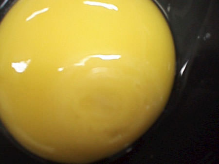 photo of an egg