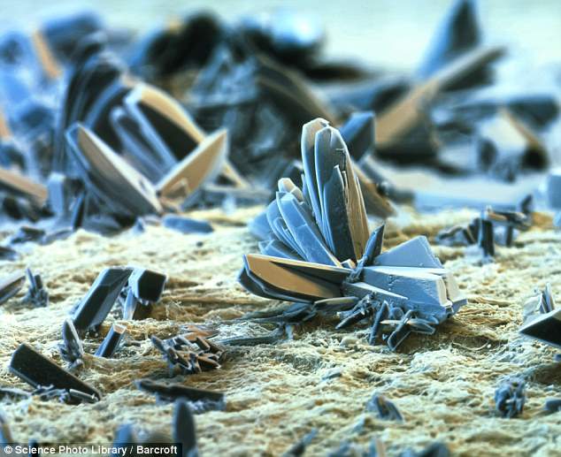 microscopic photo of a cigarette paper