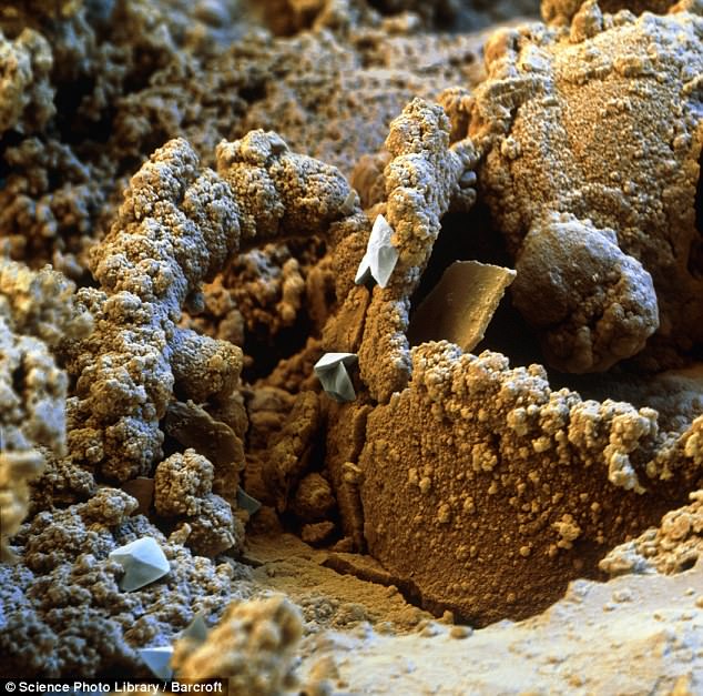 microscopic photo of rusty metal