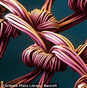 microscopic photo of weave of a stocking
