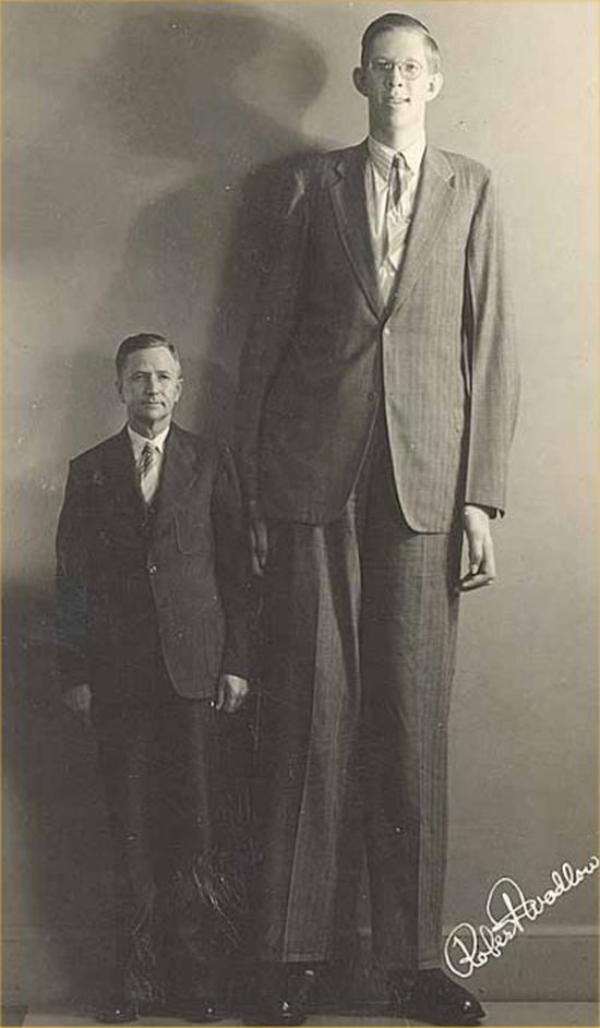 world's tallest man