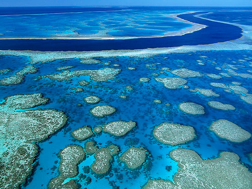 Great Barrier Reef Austalia