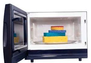 Microwave, Microwave uses, Sponges