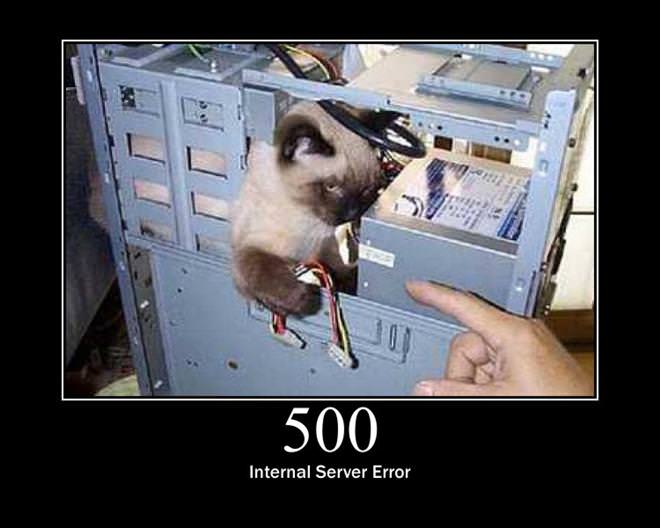 !The Error Code Cats - Educational and Hilarious