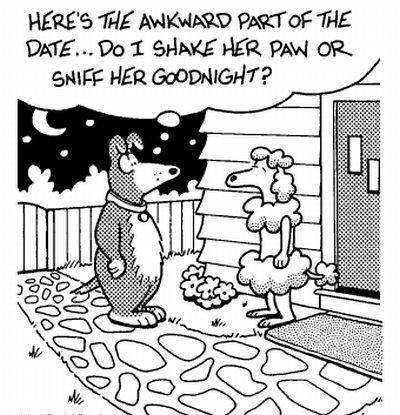 It's a Canine World - Hilarious Cartoons!