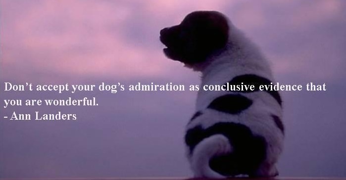 Of Dogs and People - Beautiful Quotes!