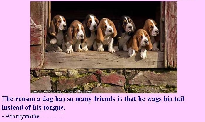 Of Dogs and People - Beautiful Quotes!