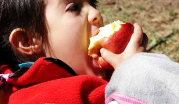 child healthy eating