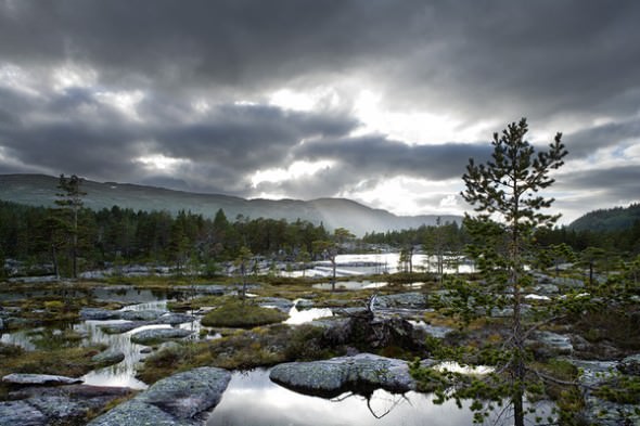 Scandinavia landscape