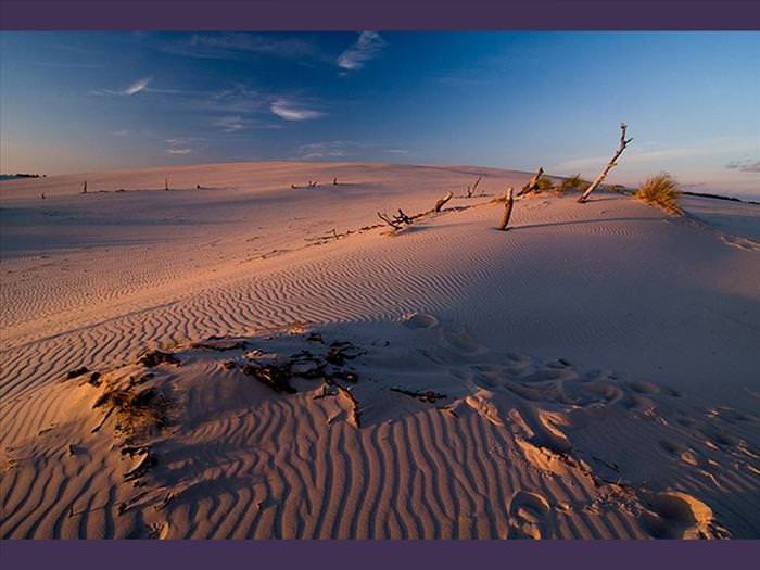 Namib Desert photos