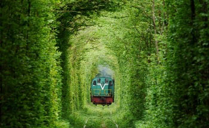 The Tunnel of Love - Beautiful!