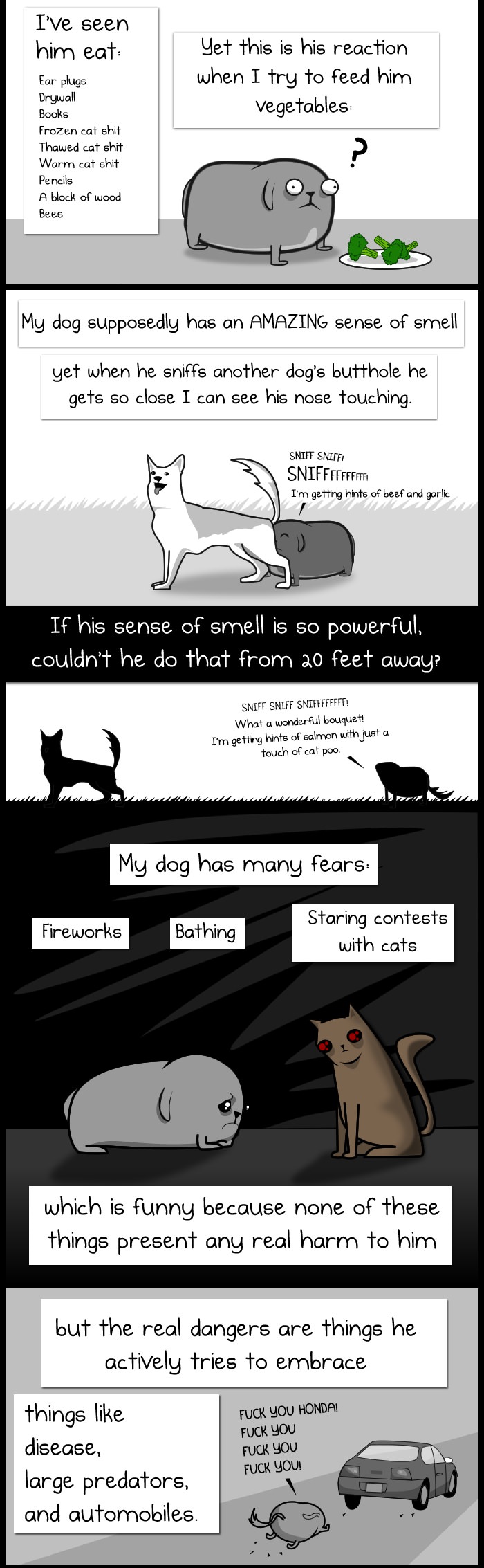 dog funny comics