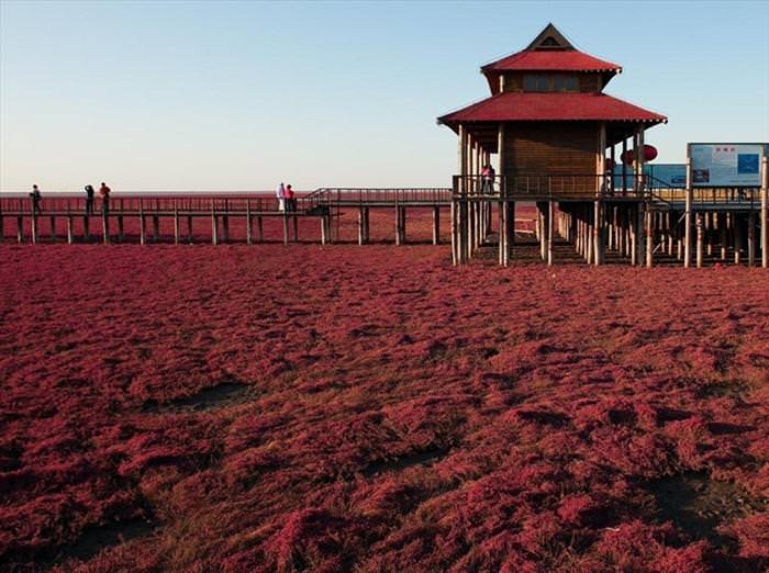 pajin red beach