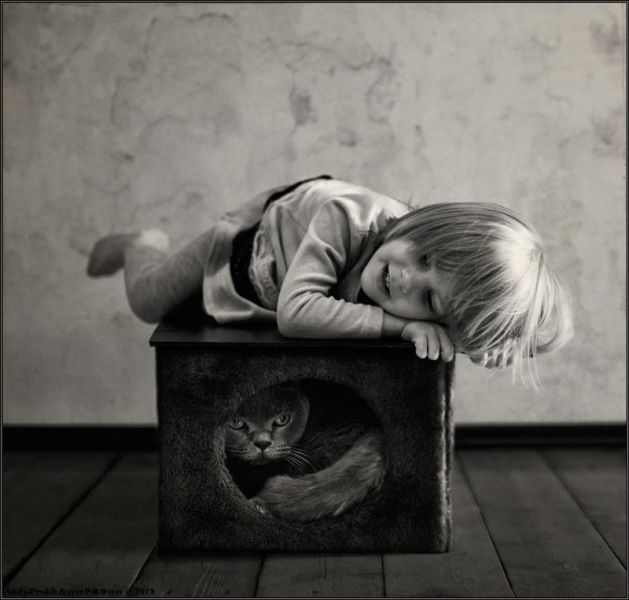 The Art Of Child and Feline - Beautiful Photograph