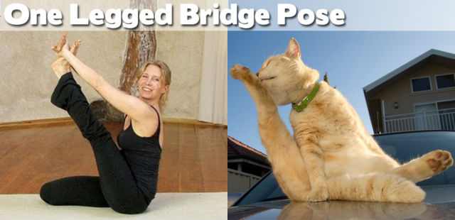 Is Yoga Truly For Everyone - Funny!