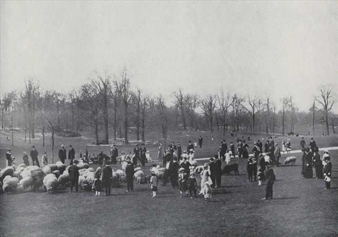 New York Minus 100 Years - Amazing Photos!