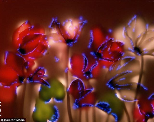 electric flowers