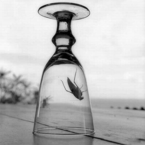 black and white photographyy