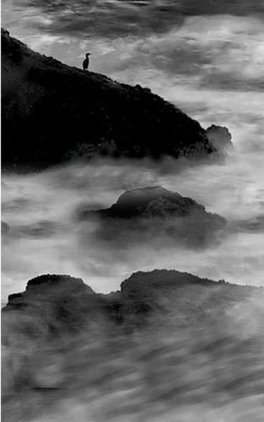 black and white photographyy