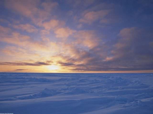 Arctic beauty