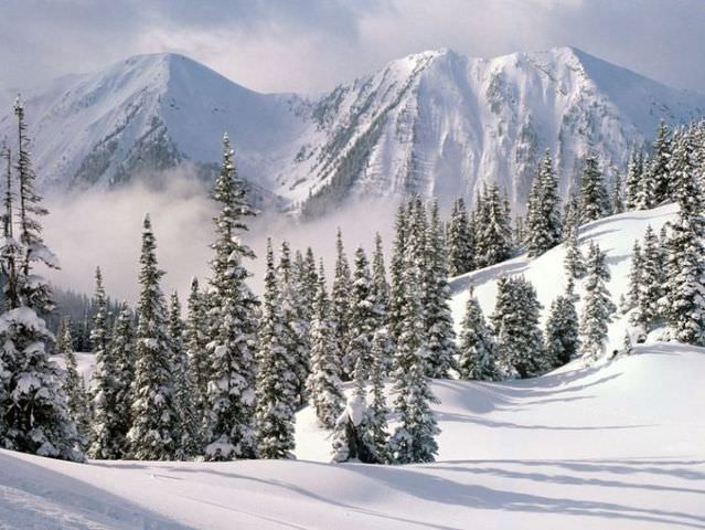 beautiful photo of winter