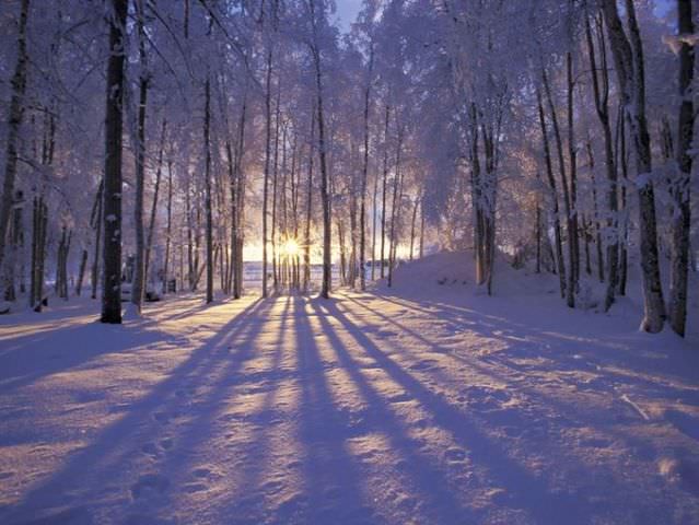 beautiful photo of winter