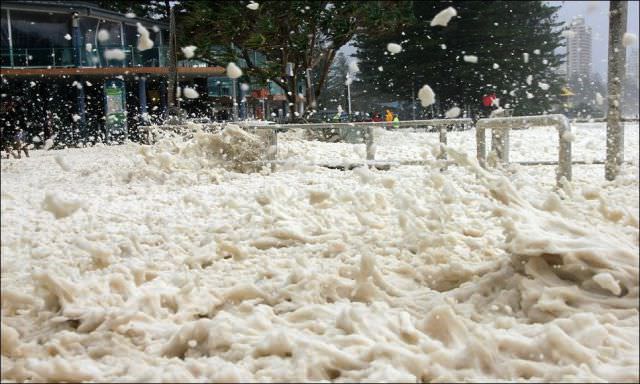 australia foam