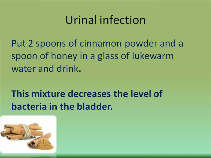 honey and cinnamon medicine