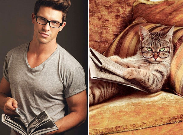 hotties and cats