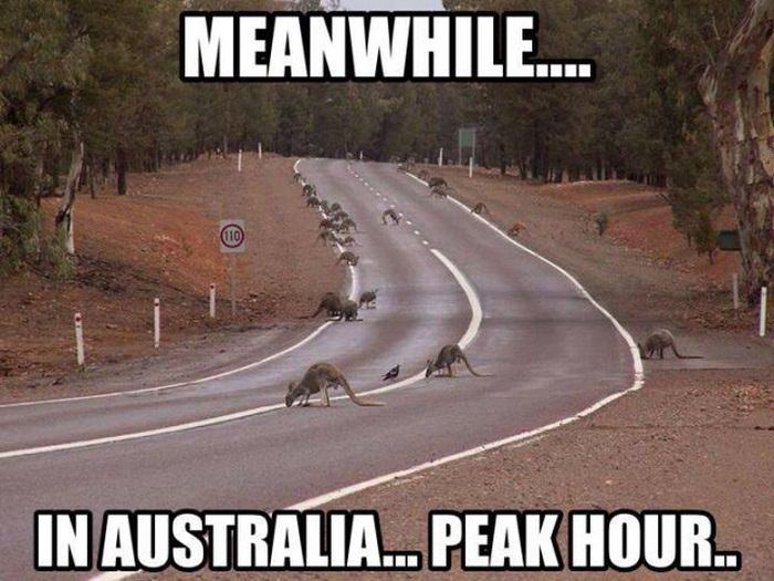 things you only see in Australia