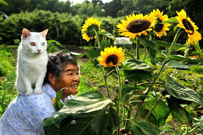 lady and cat friendship