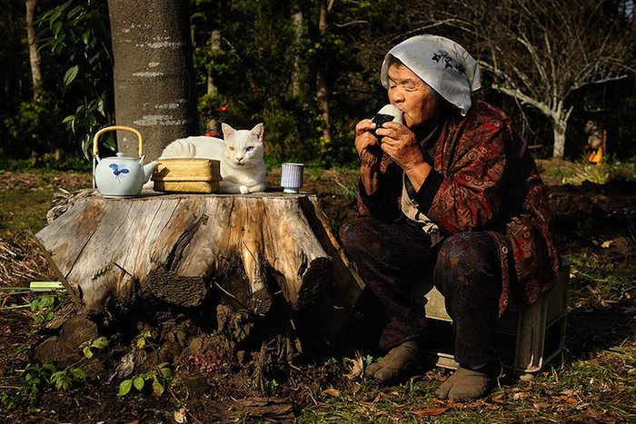 lady and cat friendship