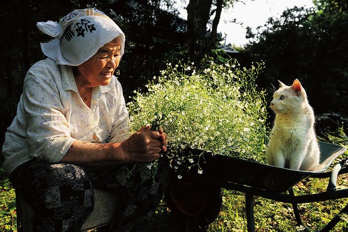 lady and cat friendship