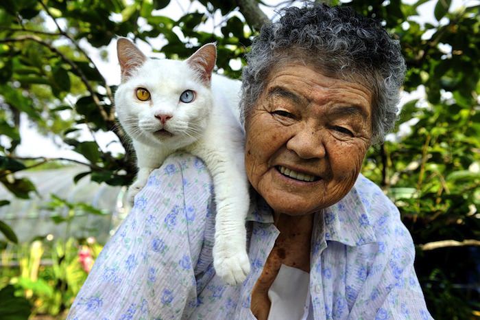 lady and cat friendship