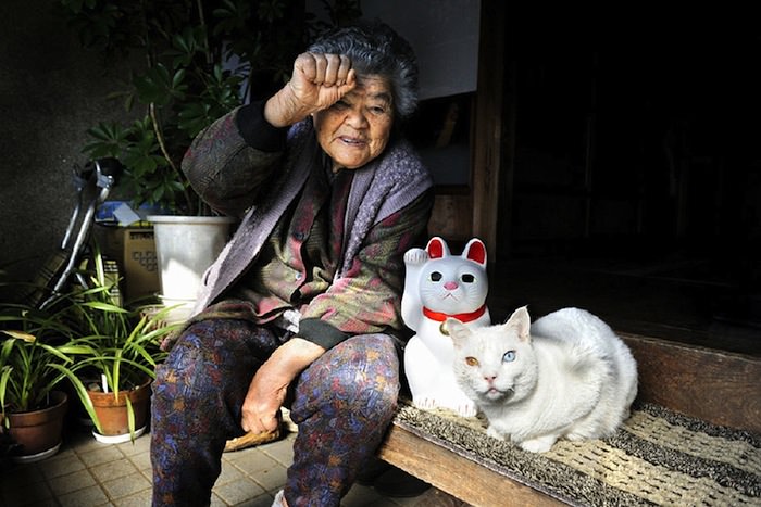 lady and cat friendship