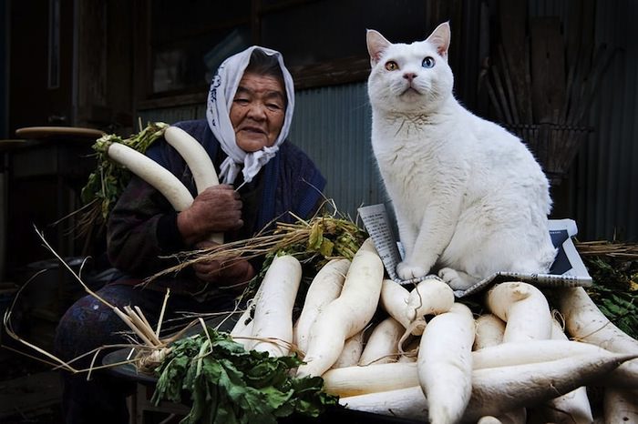 lady and cat friendship