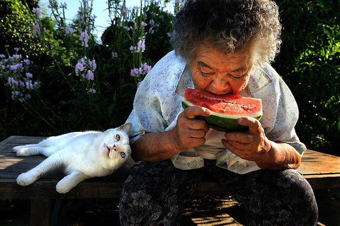 lady and cat friendship